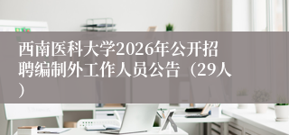 西南医科大学2026年公开招聘编制外工作人员公告(29人)