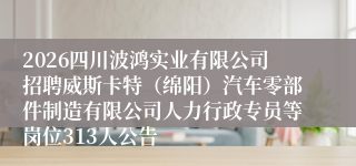 2026四川波鸿实业有限公司招聘威斯卡特（绵阳）汽车零部件制造有限公司人力行政专员等岗位313人公告