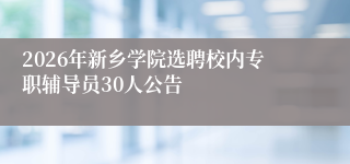 2026年新乡学院选聘校内专职辅导员30人公告