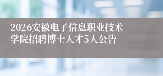 2026安徽电子信息职业技术学院招聘博士人才5人公告