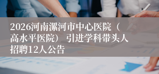 2026河南漯河市中心医院（高水平医院） 引进学科带头人招聘12人公告