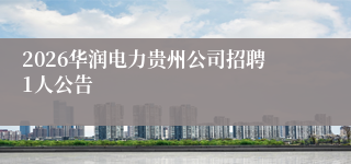 2026华润电力贵州公司招聘1人公告