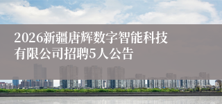 2026新疆唐辉数字智能科技有限公司招聘5人公告