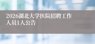 2026湖北大学医院招聘工作人员1人公告