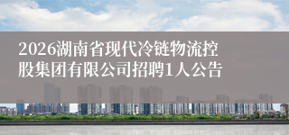 2026湖南省现代冷链物流控股集团有限公司招聘1人公告
