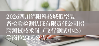 2026四川绵阳科技城低空装备检验检测认证有限责任公司招聘测试技术岗（飞行测试中心）等岗位24人公告