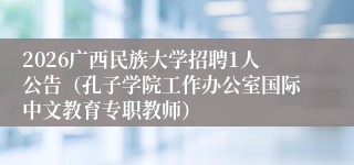 2026广西民族大学招聘1人公告(孔子学院工作办公室国际中文教育专职教师)