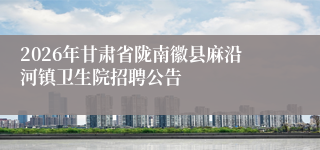 2026年甘肃省陇南徽县麻沿河镇卫生院招聘公告