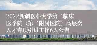 2022新疆医科大学第二临床医学院（第二附属医院）高层次人才专项引进工作6人公告