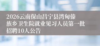 2026云南保山昌宁县湾甸傣族乡卫生院就业见习人员第一批招聘10人公告