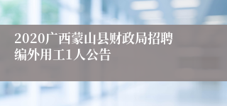 2020广西蒙山县财政局招聘编外用工1人公告