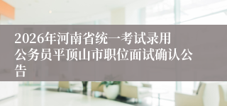 2026年河南省统一考试录用公务员平顶山市职位面试确认公告