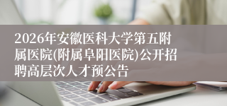 2026年安徽医科大学第五附属医院(附属阜阳医院)公开招聘高层次人才预公告