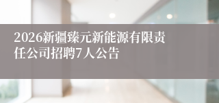 2026新疆臻元新能源有限责任公司招聘7人公告