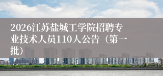 2026江苏盐城工学院招聘专业技术人员110人公告（第一批）