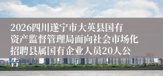 2026四川遂宁市大英县国有资产监督管理局面向社会市场化招聘县属国有企业人员20人公告