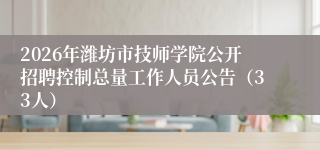 2026年潍坊市技师学院公开招聘控制总量工作人员公告（33人）