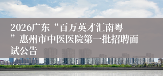 2026广东“百万英才汇南粤”惠州市中医医院第一批招聘面试公告