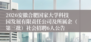 2026安徽合肥国家大学科技园发展有限责任公司及所属企（第三批）社会招聘6人公告