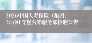2026中国人寿保险（集团）公司红寺堡营销服务部招聘公告