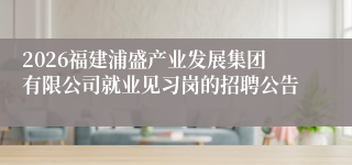2026福建浦盛产业发展集团有限公司就业见习岗的招聘公告