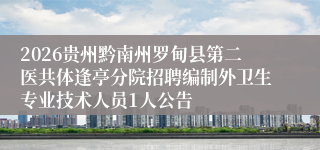 2026贵州黔南州罗甸县第二医共体逢亭分院招聘编制外卫生专业技术人员1人公告