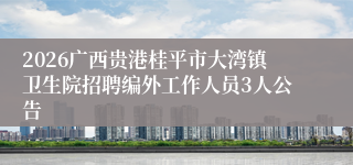 2026广西贵港桂平市大湾镇卫生院招聘编外工作人员3人公告