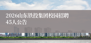2026山东铁投集团校园招聘45人公告
