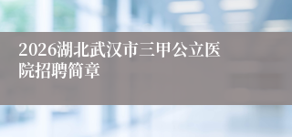 2026湖北武汉市三甲公立医院招聘简章