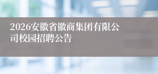 2026安徽省徽商集团有限公司校园招聘公告