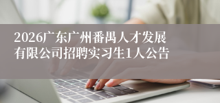 2026广东广州番禺人才发展有限公司招聘实习生1人公告