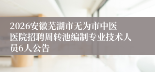 2026安徽芜湖市无为市中医医院招聘周转池编制专业技术人员6人公告