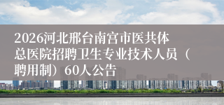 2026河北邢台南宫市医共体总医院招聘卫生专业技术人员（聘用制）60人公告