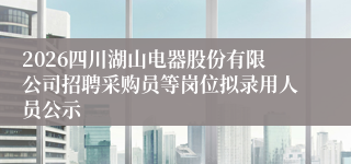 2026四川湖山电器股份有限公司招聘采购员等岗位拟录用人员公示