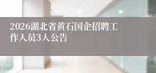 2026湖北省黄石国企招聘工作人员3人公告