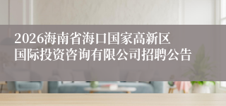 2026海南省海口国家高新区国际投资咨询有限公司招聘公告
