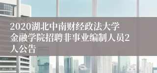 2020湖北中南财经政法大学金融学院招聘非事业编制人员2人公告