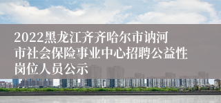 2022黑龙江齐齐哈尔市讷河市社会保险事业中心招聘公益性岗位人员公示