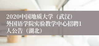 2020中国地质大学（武汉）外国语学院实验教学中心招聘1人公告（湖北）