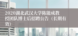 2020湖北武汉大学陈能成教授团队博士后招聘公告（长期有效）