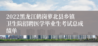 2022黑龙江鹤岗萝北县乡镇卫生院招聘医学毕业生考试总成绩单