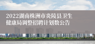 2022湖南株洲市炎陵县卫生健康局调整招聘计划数公告