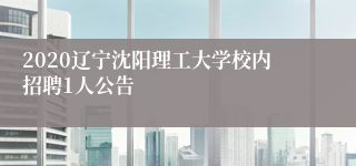 2020辽宁沈阳理工大学校内招聘1人公告