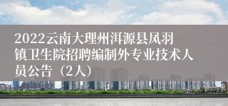 2022云南大理州洱源县凤羽镇卫生院招聘编制外专业技术人员公告（2人）