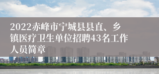 2022赤峰市宁城县县直、乡镇医疗卫生单位招聘43名工作人员简章