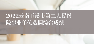 2022云南玉溪市第二人民医院事业单位选调综合成绩