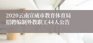 2020云南宣威市教育体育局招聘编制外教职工44人公告