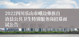 2022四川乐山市峨边彝族自治县公共卫生特别服务岗招募面试公告