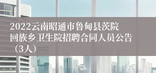 2022云南昭通市鲁甸县茨院回族乡卫生院招聘合同人员公告（3人）