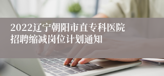 2022辽宁朝阳市直专科医院招聘缩减岗位计划通知